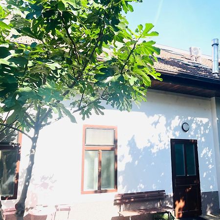 Jokai Apartman Комарно Екстер'єр фото